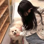 天堂2m手游繁体字版下载